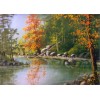 8900 FALL REFLECTIONS IN BROOK