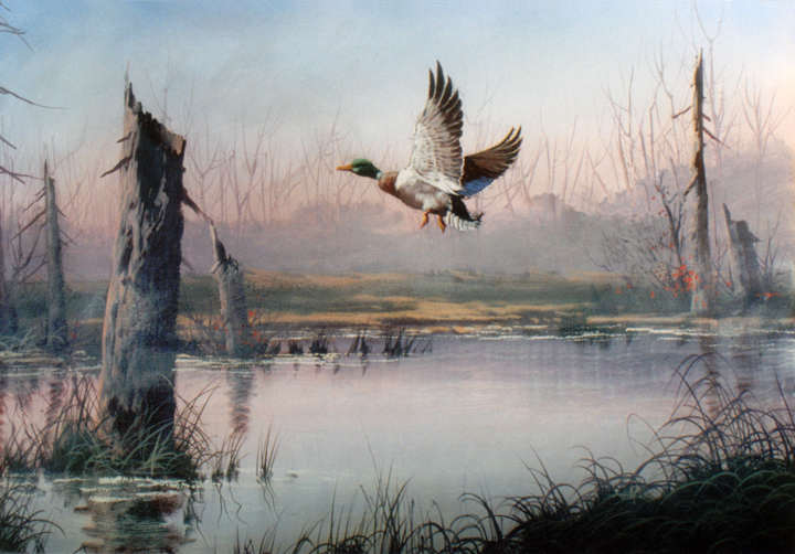 #8972 Mallard Duck